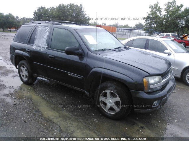 1GNDT13S132271161 - 2003 CHEVROLET TRAILBLAZER  GRAY photo 1