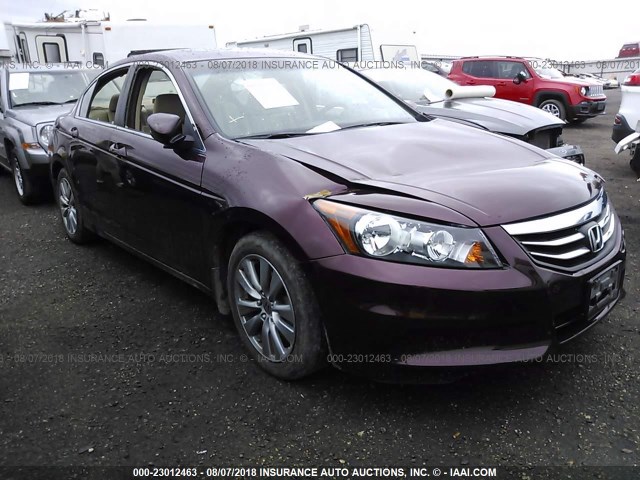 1HGCP2F86CA044313 - 2012 HONDA ACCORD EXL MAROON photo 1