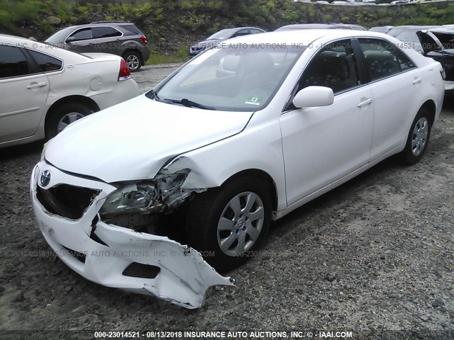 4T1BF3EK7AU560686 - 2010 TOYOTA CAMRY SE/LE/XLE Ağ foto 2