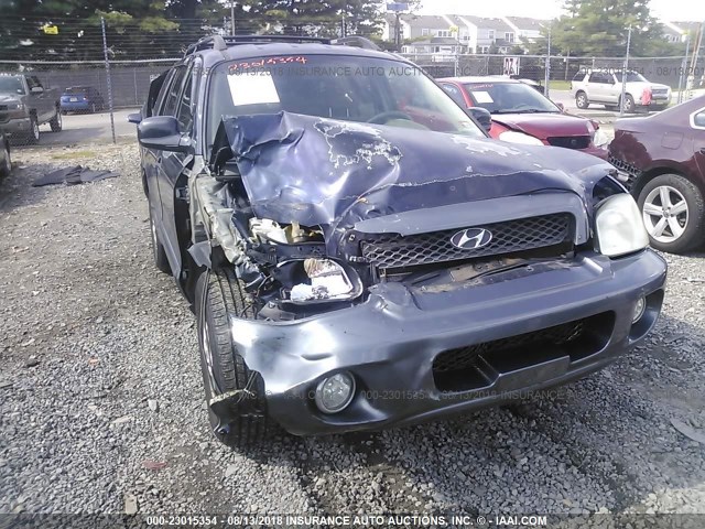 KM8SC13D04U680769 - 2004 HYUNDAI SANTA FE GLS/LX BLUE photo 6