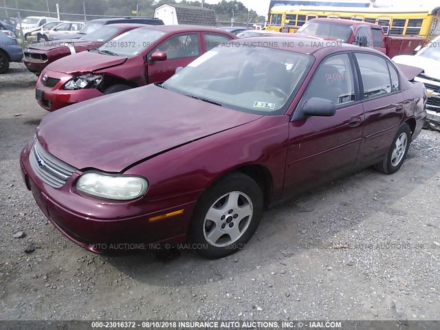 1G1ND52F65M239635 - 2005 CHEVROLET CLASSIC RED photo 2