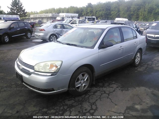 1G1ZT54805F168603 - 2005 CHEVROLET MALIBU LS Gümüş foto 2