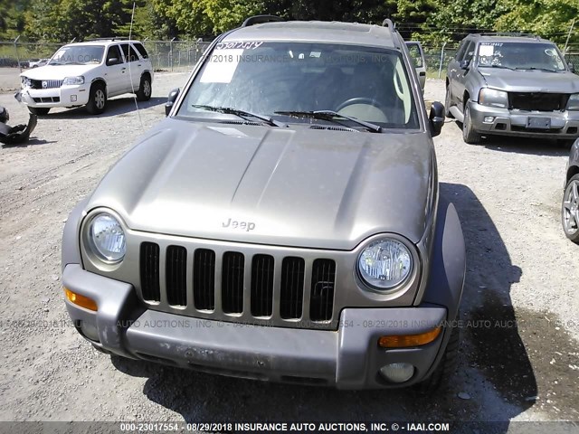 1J4GL48KX3W599276 - 2003 JEEP LIBERTY SPORT/FREEDOM თაფლისფერი ფოტო 6