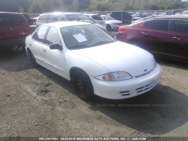 1G1JC524527403158 - 2002 CHEVROLET CAVALIER CNG WHITE photo 1