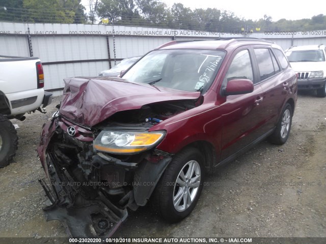 5XYZK3AB9BG014236 - 2011 HYUNDAI SANTA FE LIMITED RED photo 2