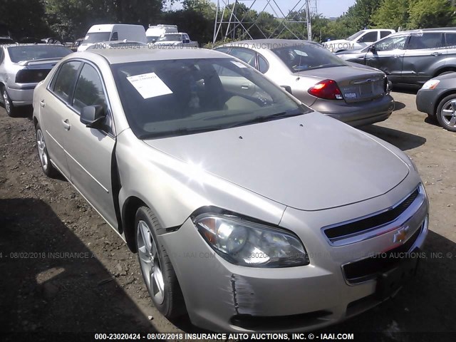 1G1ZB5EB2AF141622 - 2010 CHEVROLET MALIBU LS Qəhvəyi foto 1