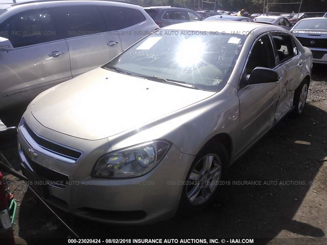 1G1ZB5EB2AF141622 - 2010 CHEVROLET MALIBU LS Qəhvəyi foto 2