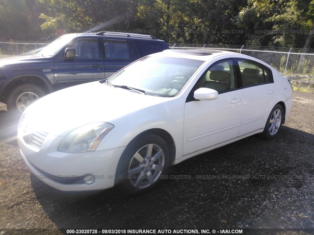 1N4BA41E96C860452 - 2006 NISSAN MAXIMA SE/SL WHITE photo 2