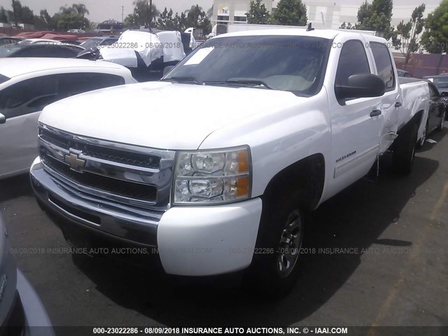 3GCRCREAXAG283315 - 2010 CHEVROLET SILVERADO C1500  LS WHITE photo 2