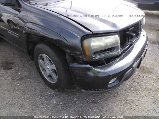 1GNDT13S432232449 - 2003 CHEVROLET TRAILBLAZER  GRAY photo 6