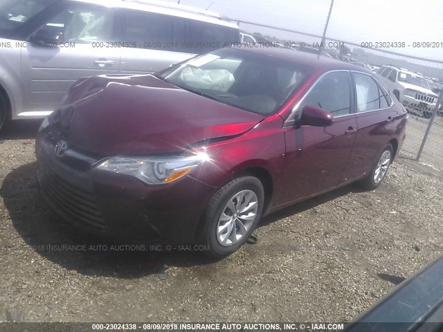 4T1BF1FK7GU504727 - 2016 TOYOTA CAMRY LE/XLE/SE/XSE 红色 照片 2