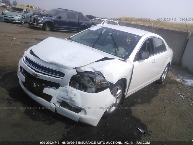 1G1ZB5E15BF249497 - 2011 CHEVROLET MALIBU LS Ağ foto 2