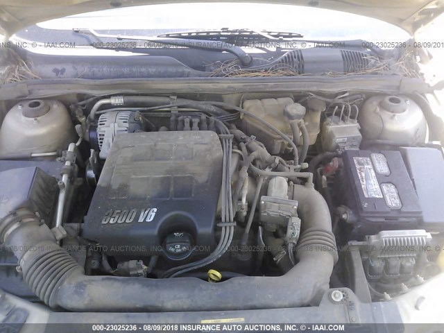 1G1ZU53896F176263 - 2006 CHEVROLET MALIBU LTZ 金色 照片 10