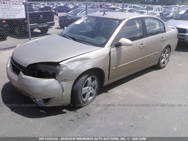 1G1ZU53896F176263 - 2006 CHEVROLET MALIBU LTZ 金色 照片 2