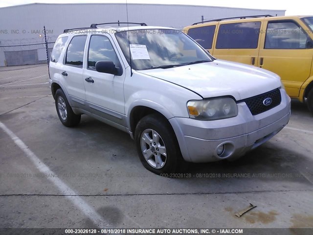 1FMCU03187KB78805 - 2007 FORD ESCAPE XLT WHITE photo 1