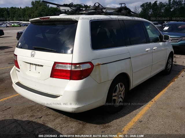 5FNRL38717B134271 - 2007 HONDA ODYSSEY WHITE photo 4