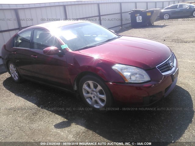 1N4BA41E77C849385 - 2007 NISSAN MAXIMA SE/SL RED photo 1