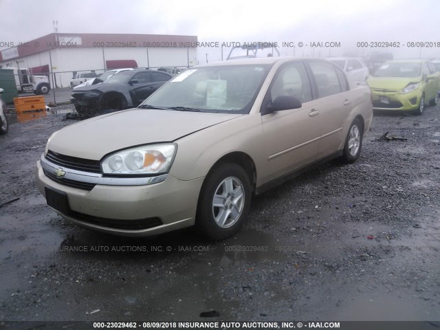 1G1ZT52855F268943 - 2005 CHEVROLET MALIBU LS Алтын фото 2