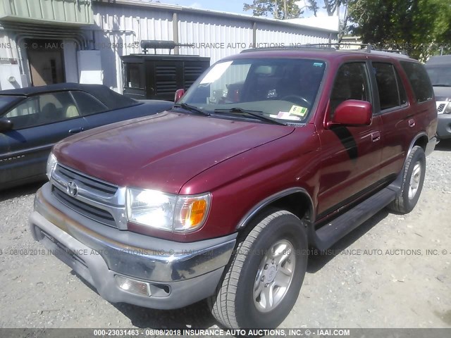 JT3GN86R510190887 - 2001 TOYOTA 4RUNNER SR5 BURGUNDY photo 2