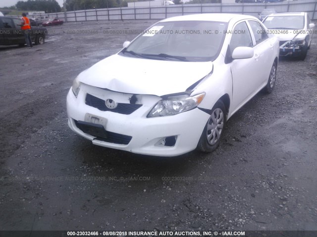 2T1BU4EE5AC359487 - 2010 TOYOTA COROLLA S/LE/XLE WHITE photo 6