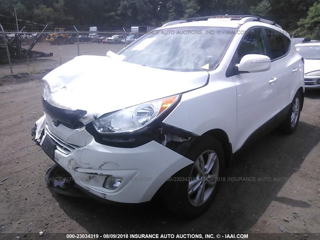 KM8JUCAC9DU590339 - 2013 HYUNDAI TUCSON GLS/LIMITED WHITE photo 2