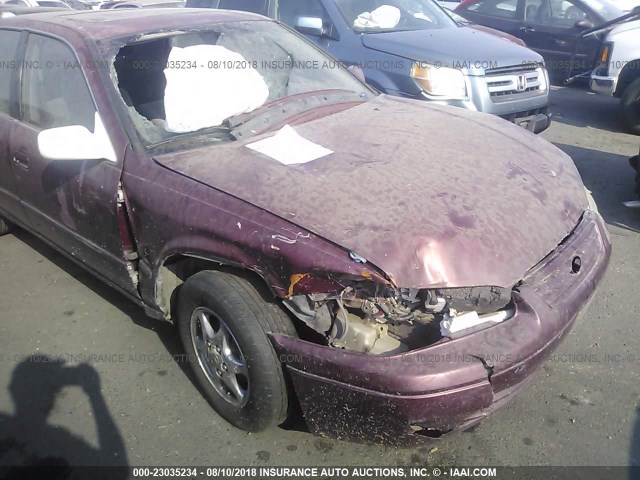 JT2BG28K4W0108967 - 1998 TOYOTA CAMRY LE/XLE RED photo 6