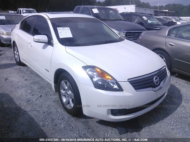 1N4CL21E18C229975 - 2008 NISSAN ALTIMA HYBRID WHITE photo 1