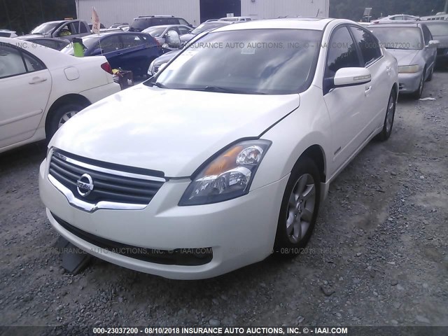 1N4CL21E18C229975 - 2008 NISSAN ALTIMA HYBRID WHITE photo 2