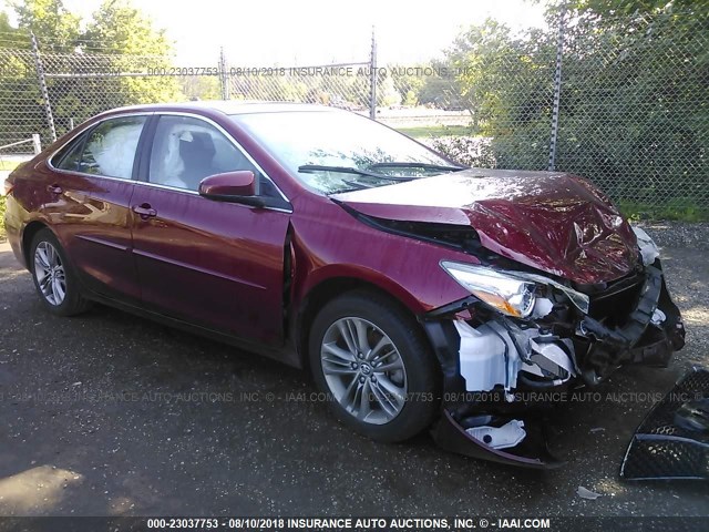 4T1BF1FK9GU526504 - 2016 TOYOTA CAMRY LE/XLE/SE/XSE RED photo 1