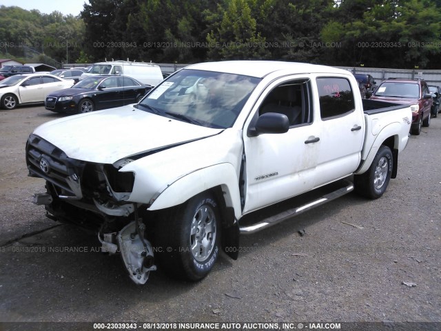 5TELU42N46Z210188 - 2006 TOYOTA TACOMA DOUBLE CAB თეთრი ფოტო 2