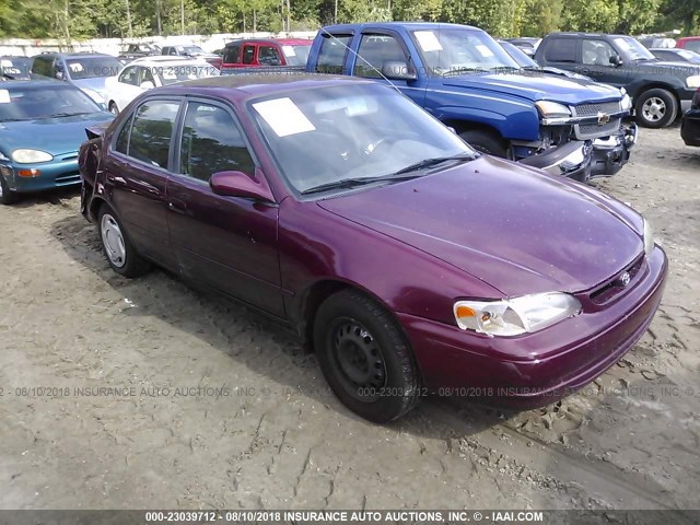 2T1BR18E2WC029499 - 1998 TOYOTA COROLLA VE/CE/LE PURPLE photo 1