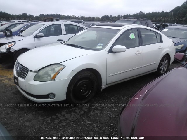 1N4BA41E44C903365 - 2004 NISSAN MAXIMA SE/SL WHITE photo 2