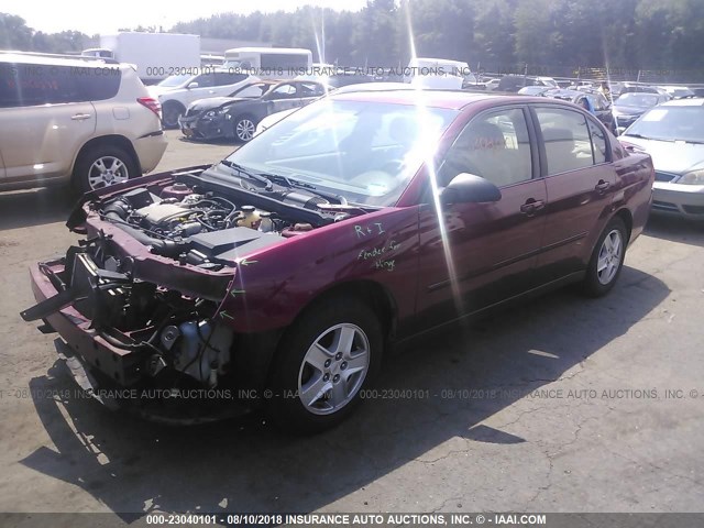 1G1ZT54854F225036 - 2004 CHEVROLET MALIBU LS 红色 照片 2