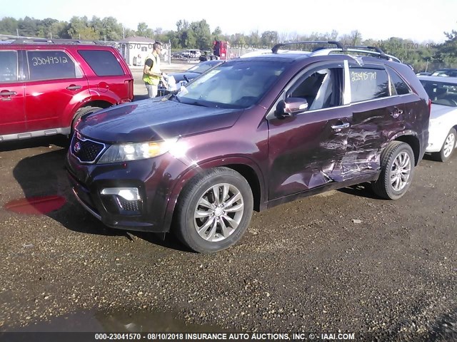 5XYKW4A21BG172839 - 2011 KIA SORENTO SX MAROON photo 2