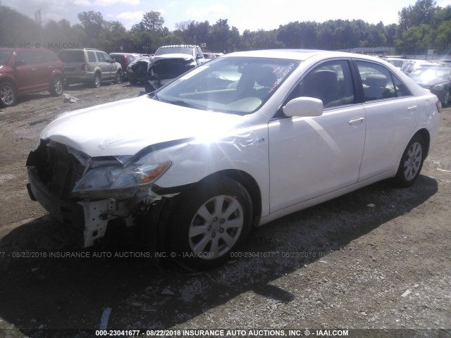 4T1BB46K99U075199 - 2009 TOYOTA CAMRY HYBRID WHITE photo 2