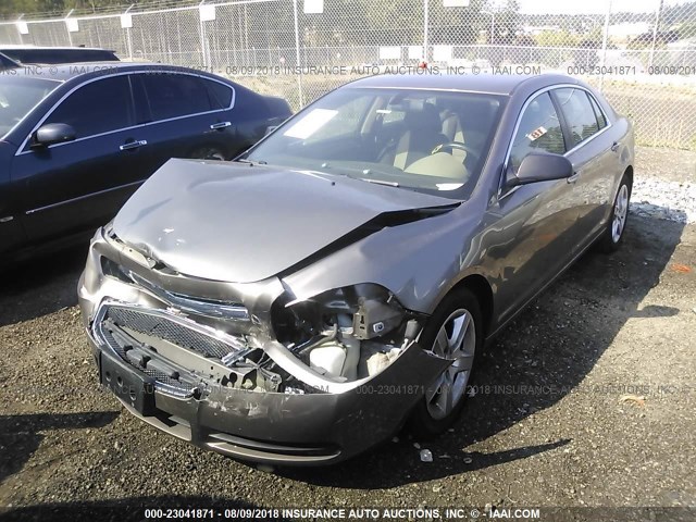 1G1ZA5E06CF294783 - 2012 CHEVROLET MALIBU LS Qəhvəyi foto 2