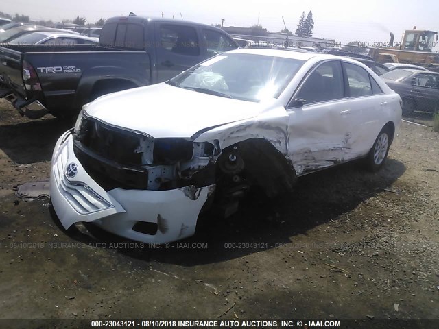 4T1BF3EK4BU591170 - 2011 TOYOTA CAMRY SE/LE/XLE თეთრი ფოტო 2