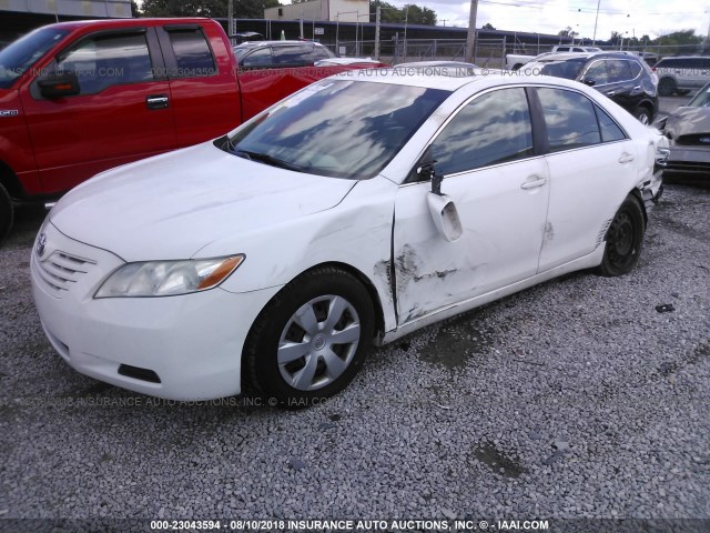 4T4BE46K59R086293 - 2009 TOYOTA CAMRY SE/LE/XLE WHITE photo 2