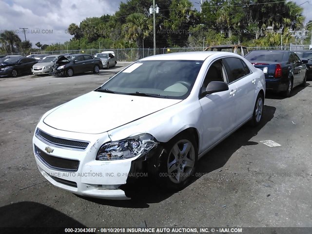 1G1ZB5EB8AF197161 - 2010 CHEVROLET MALIBU LS WHITE photo 2