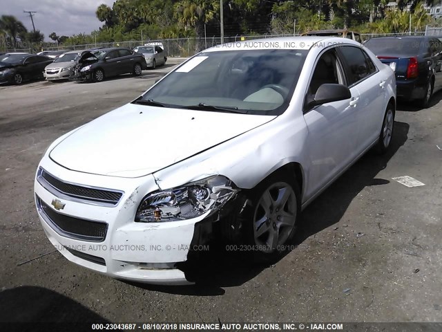 1G1ZB5EB8AF197161 - 2010 CHEVROLET MALIBU LS WHITE photo 6