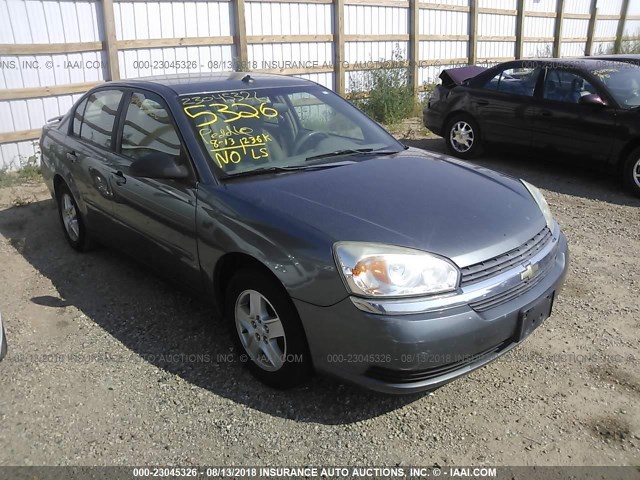 1G1ZT54875F244107 - 2005 CHEVROLET MALIBU LS GRAY photo 1