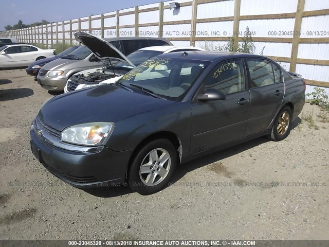 1G1ZT54875F244107 - 2005 CHEVROLET MALIBU LS GRAY photo 2