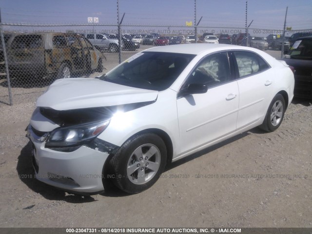 1G11B5SL9EF223704 - 2014 CHEVROLET MALIBU LS Ağ foto 2