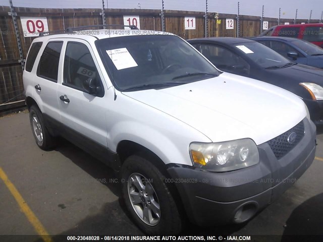 1FMYU93155KA93122 - 2005 FORD ESCAPE XLT WHITE photo 1