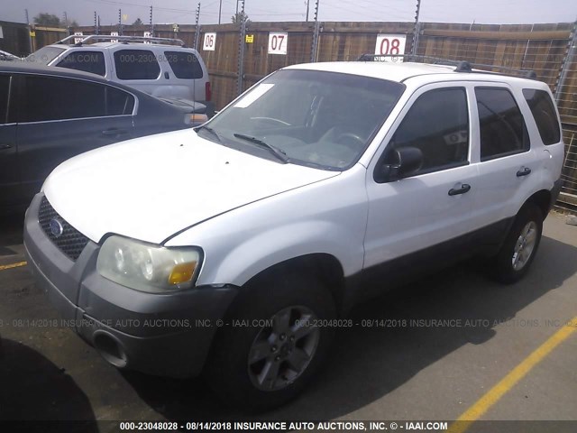 1FMYU93155KA93122 - 2005 FORD ESCAPE XLT WHITE photo 2