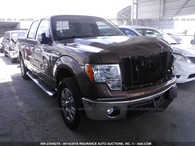 1FTEW1CM4CKD36400 - 2012 FORD F150 SUPERCREW BROWN photo 1