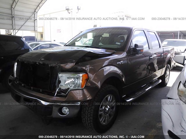 1FTEW1CM4CKD36400 - 2012 FORD F150 SUPERCREW BROWN photo 2