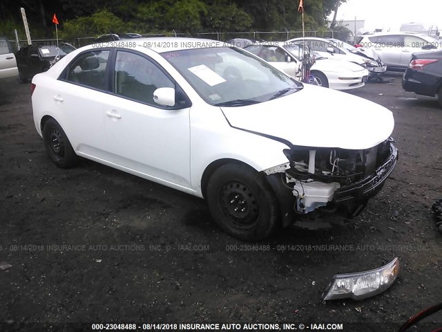 KNAFU4A24A5132315 - 2010 KIA FORTE EX WHITE photo 1