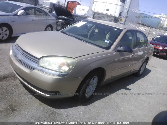 1G1ZT52854F113596 - 2004 CHEVROLET MALIBU LS ოქროსფერი ფოტო 2