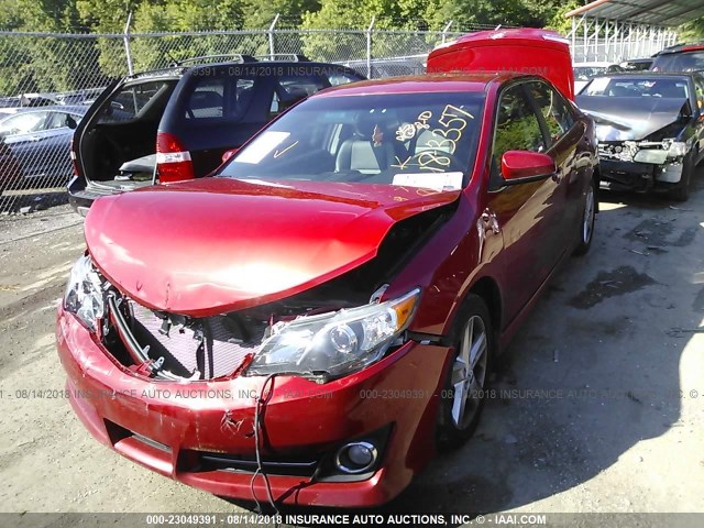 4T1BF1FK7EU757057 - 2014 TOYOTA CAMRY L/SE/LE/XLE RED photo 2